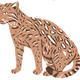 Image for article titled Trump’s border wall could decimate these rare species